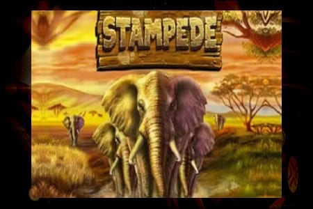 Votre Aventure Sur Elephant Stampede: Tout Ce Qu’il Faut Savoir
