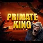 Primate King : Une Aventure Riche pour les Passionnés de Slots