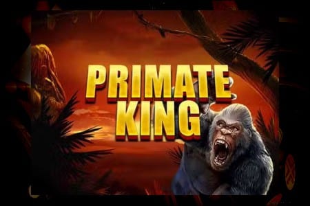 Primate King : Une Aventure Riche pour les Passionnés de Slots