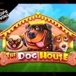 Les Meilleurs Casinos en Ligne Pour Jouer à The Dog House Slot