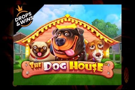Les Meilleurs Casinos en Ligne Pour Jouer à The Dog House Slot