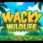 Sur la Piste des Animaux: Notre Guide sur Wacky Wildlife Slot