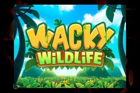 Sur la Piste des Animaux: Notre Guide sur Wacky Wildlife Slot