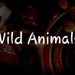 Les Secrets de Wild Animals: Un Guide pour Gagner!