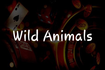Les Secrets de Wild Animals: Un Guide pour Gagner!
