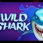 À la recherche des trésors perdus : Jouez à Wild Shark !