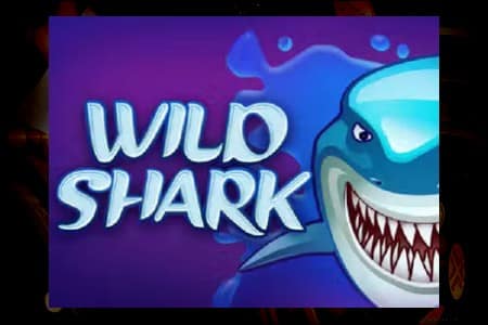 À la recherche des trésors perdus : Jouez à Wild Shark !